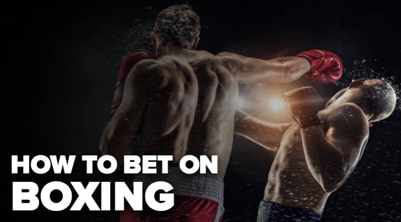 Kinh Nghiệm Chơi Cá Cược Boxing Từ Người Trong Nghề 1 Kinh Nghiệm Chơi Cá Cược Boxing Từ Người Trong Nghề
